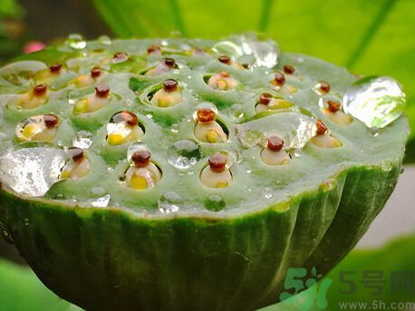 吃蓮蓬可以防止中暑嗎?吃蓮蓬能預防中暑嗎? 吃蓮蓬可以防止中暑嗎?吃蓮蓬能預防中暑嗎?