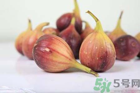 胃不好可以吃無花果嗎？胃不好吃無花果好嗎？