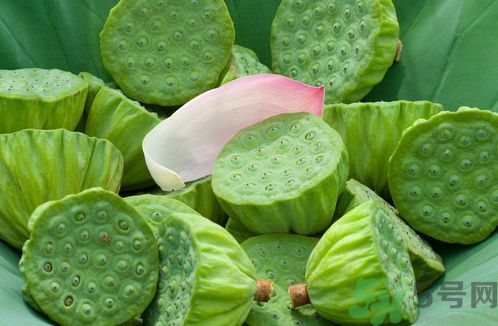 孕婦能吃蓮蓬嗎?懷孕可以吃蓮蓬嗎? 孕婦能吃蓮蓬嗎?懷孕可以吃蓮蓬嗎?