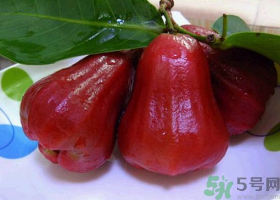 感冒可以吃蓮霧嗎?感冒咳嗽能吃蓮霧嗎? 感冒可以吃蓮霧嗎?感冒咳嗽能吃蓮霧嗎?