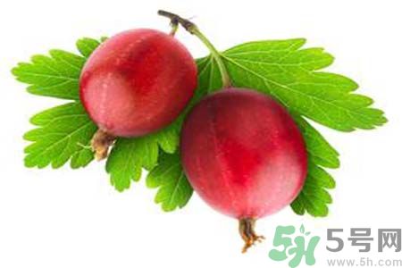 吃無花果可以美容嗎？無花果怎樣吃可以美容？