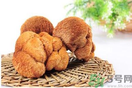  哺乳期可以吃猴頭菇嗎？產(chǎn)婦可以吃猴頭菇嗎？