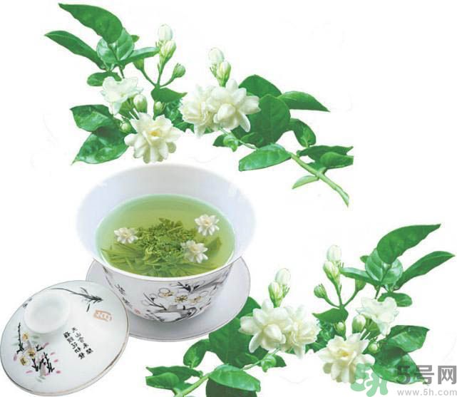 茉莉花茶是熱性還是涼性？茉莉花茶是涼性嗎？