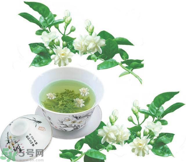 茉莉花茶可以減肥嗎？怎樣喝茉莉花茶可以減肥？