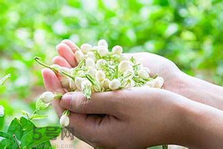 痛風(fēng)可以喝茉莉花茶嗎？痛風(fēng)喝茉莉花茶好嗎？