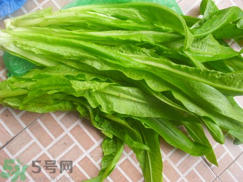 吃油麥菜會回奶嗎?油麥菜回奶食譜 吃油麥菜會回奶嗎?油麥菜回奶食譜