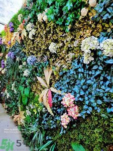 寵愛之名寵愛女孩面膜怎么樣？寵愛女孩礦物云絲面膜好用嗎？