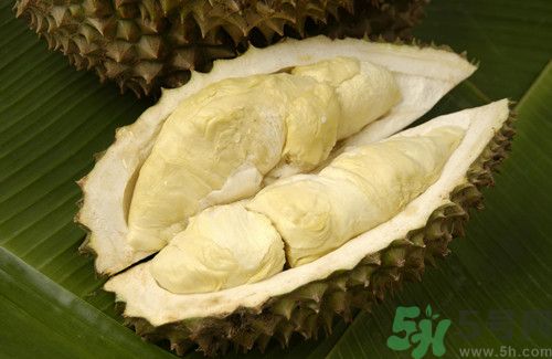 榴蓮可以帶上飛機嗎?把榴蓮帶上飛機會怎么樣 榴蓮可以帶上飛機嗎?把榴蓮帶上飛機會怎么樣