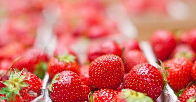 草莓污漬怎么去掉？草莓汁弄到衣服上怎么洗？