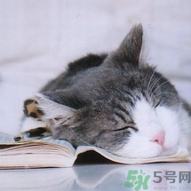 如何控油？如何控油祛痘？