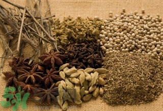 16歲女生很矮還能長高嗎？16歲女生很矮怎么辦？