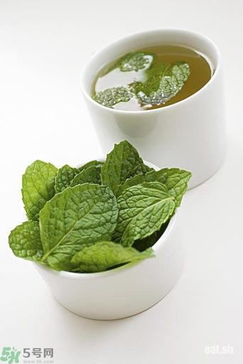 薄荷能美白嗎？薄荷有什么功效和作用？
