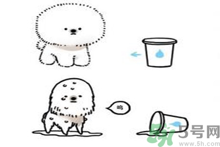 虛胖是什么意思？虛胖是胖嗎？