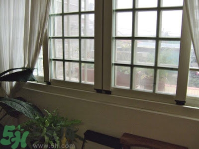 房間潮濕怎么辦？房間潮濕如何解決？