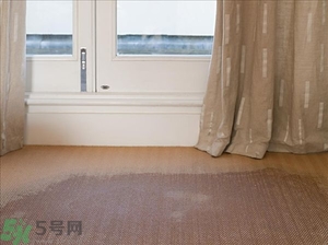 房間潮濕怎么辦？房間潮濕如何解決？