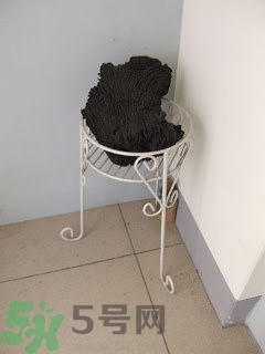 房間潮濕怎么辦？房間潮濕如何解決？