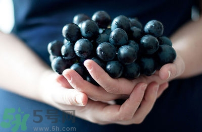 葡萄胎是什么?葡萄胎是什么原因造成的 葡萄胎是什么?葡萄胎是什么原因造成的