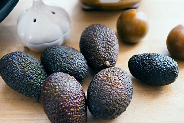 牛油果樹幾年能結(jié)出果？牛油果樹幾年長(zhǎng)果子？