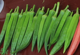 秋葵籽可以吃嗎？秋葵籽怎么做好吃？