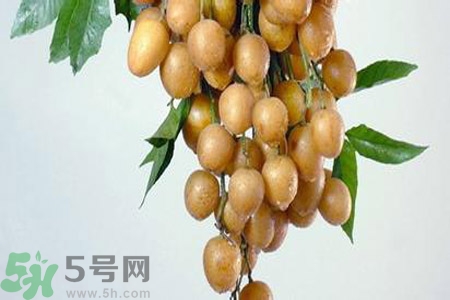 黃皮果是不是發(fā)物？黃皮果是發(fā)物嗎？