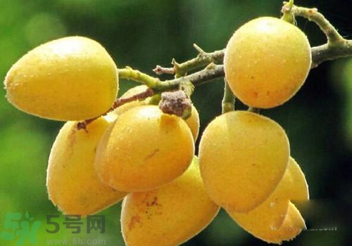 黃皮果的皮可以吃嗎？黃皮果的皮有什么作用