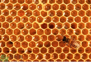 蜂蜜放久了有酒味是怎么回事？蜂蜜有酒味還能喝嗎？