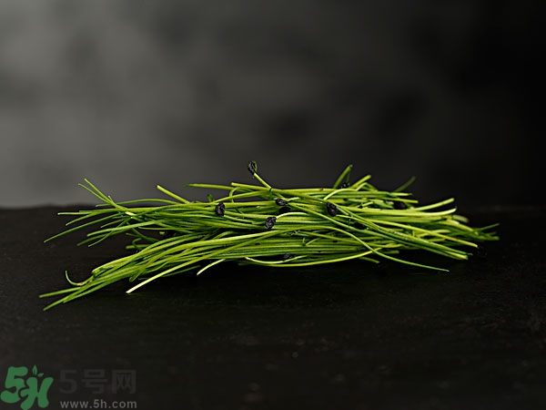 吃韭菜會燒心嗎？吃韭菜燒心怎么辦？