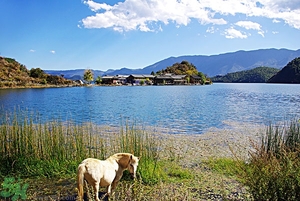 放暑假去哪里玩好？暑假去哪里玩比較涼快？