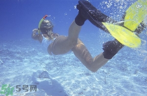 浮潛是什么意思？深潛和浮潛有什么區(qū)別？?