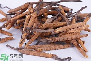 冬蟲(chóng)夏草是怎么形成的？冬蟲(chóng)夏草是蟲(chóng)子嗎？