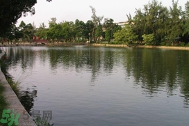 水漬險(xiǎn)承保范圍是什么,水漬險(xiǎn)的責(zé)任范圍 水漬險(xiǎn)承保范圍是什么,水漬險(xiǎn)的責(zé)任范圍