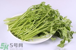 芹菜吃多了有什么壞處?芹菜吃多了有什么影響 芹菜吃多了有什么壞處?芹菜吃多了有什么影響