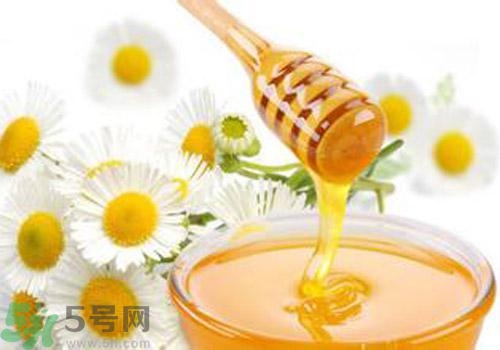 什么蜂蜜才是好蜂蜜？好壞蜂蜜的鑒別