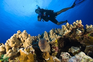 深潛危險(xiǎn)么？深潛注意事項(xiàng)有哪些？