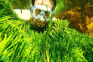 深潛危險(xiǎn)么？深潛注意事項(xiàng)有哪些？