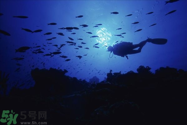 深潛危險(xiǎn)么？深潛注意事項(xiàng)有哪些？