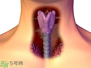 ?皰疹性咽峽炎有什么癥狀？寶寶?皰疹性咽峽炎癥狀