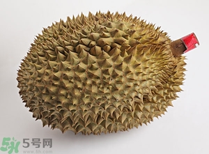 榴蓮沒開口可以吃嗎？榴蓮沒裂開能吃嗎？