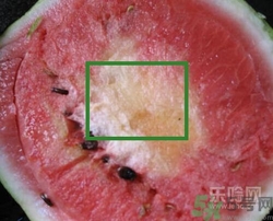 如何辨別催熟的西瓜？催熟的西瓜是什么樣的？