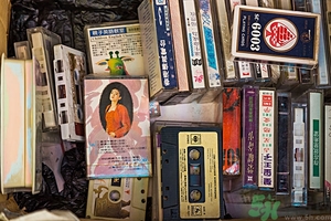 家里有跳蚤怎么快速去除？屋里有跳蚤怎么消滅掉？