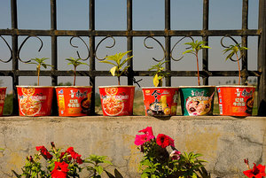 吃方便面會發(fā)胖嗎？吃方便面有什么壞處？