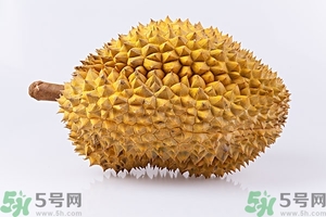 榴蓮能放冰箱嗎？榴蓮放在冰箱能保存幾天？