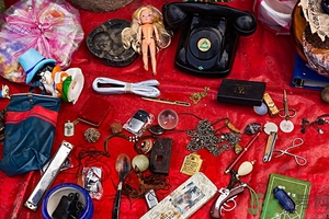 家里有跳蚤怎么快速去除？屋里有跳蚤怎么消滅掉？