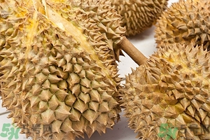 榴蓮能放冰箱嗎？榴蓮放在冰箱能保存幾天？