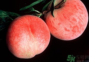 催熟的桃子怎么分辨？催熟的桃子是什么樣的