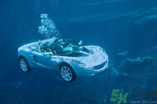 潛水能戴眼鏡嗎?潛水戴隱形眼鏡嗎 潛水能戴眼鏡嗎?潛水戴隱形眼鏡嗎