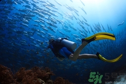 潛水能戴眼鏡嗎?潛水戴隱形眼鏡嗎 潛水能戴眼鏡嗎?潛水戴隱形眼鏡嗎