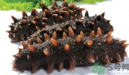 海參是發(fā)物嗎?海參是不是發(fā)物? 海參是發(fā)物嗎?海參是不是發(fā)物?