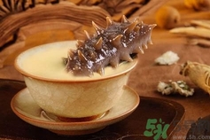 新鮮海參怎么保存?發(fā)好的海參怎么保存? 新鮮海參怎么保存?發(fā)好的海參怎么保存?