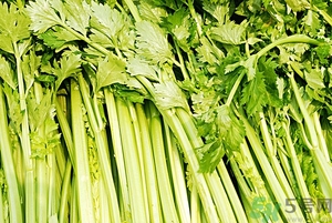 貧血能吃芹菜嗎？貧血吃芹菜好不好？